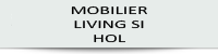 mobila living si hol 1